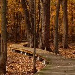 Nature Trail