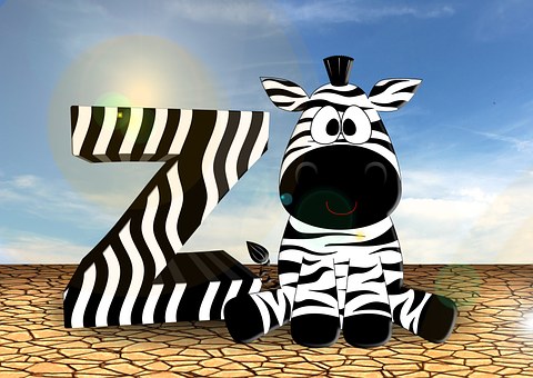 Zebra